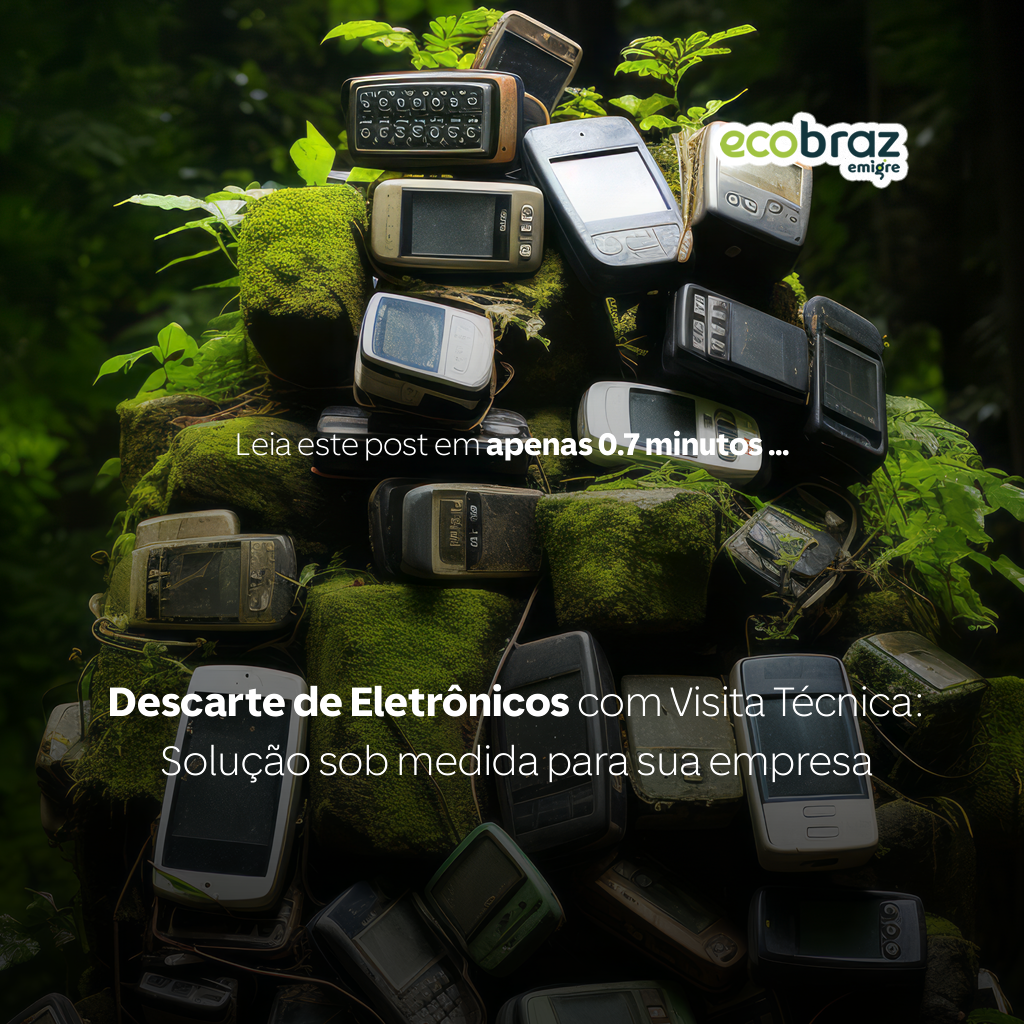 Electronics Disposal with Technical Visit: Tailor-made solution for your company